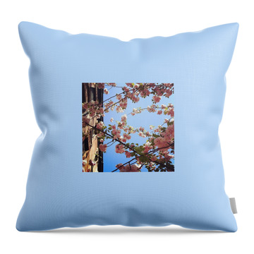 Cherry Blossom Festival Throw Pillows