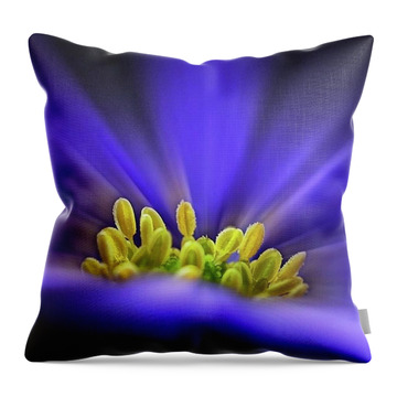 Blue Flower Throw Pillows