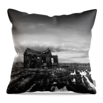 Old And New Photos Throw Pillows