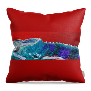 Bright Colors Throw Pillows