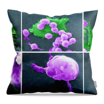 Cancer Cell Death Sequence, Sem #5 Throw Pillow