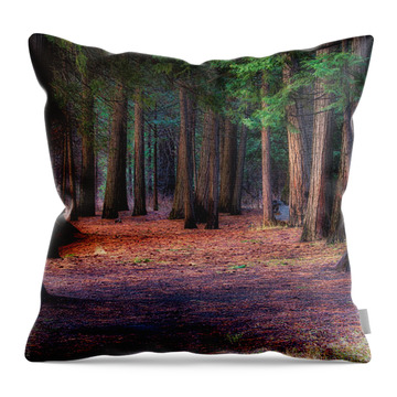 Redwood Trees Throw Pillows