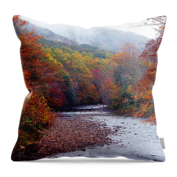 Monongahela National Forest Throw Pillows