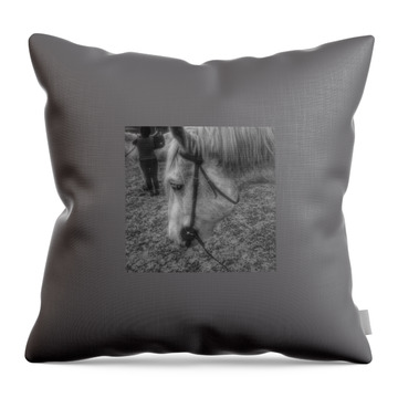 Equine Throw Pillows