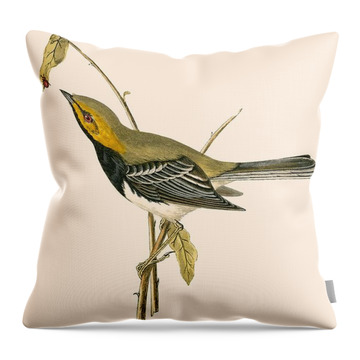 Black-throated Green Warbler Throw Pillows
