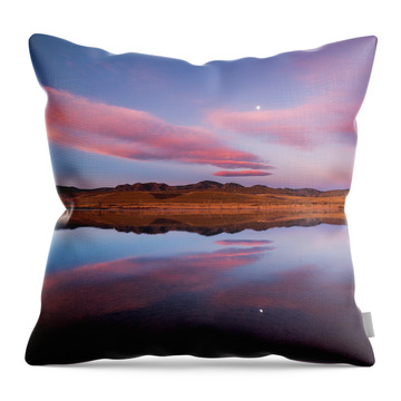 Butterfly Reflections Throw Pillows