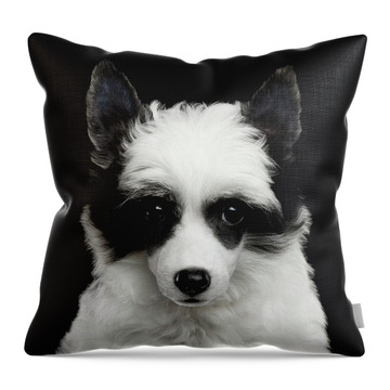 Chinese Crested Dog Throw Pillows