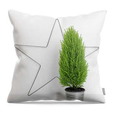 Holiday Season Throw Pillows