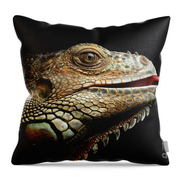 Iguana Throw Pillows