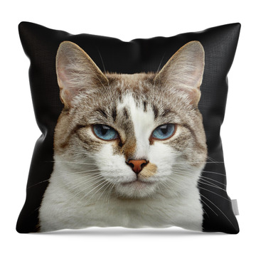 Cat Companion Throw Pillows