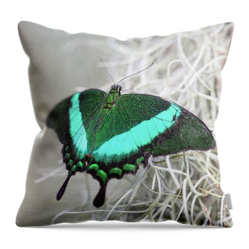 Emerald Swallowtail Throw Pillows