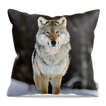 Wolf Image Throw Pillows