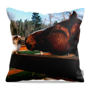 Horse And Cat Nuzzle Noses Throw Pillows