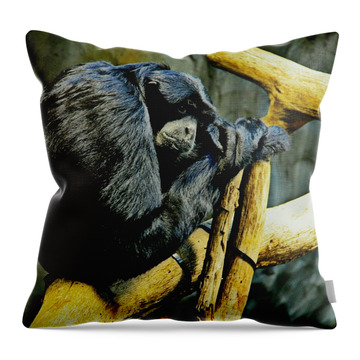 Chimp Throw Pillows