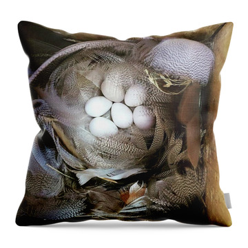 Bird Egg Throw Pillows