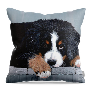 Bernese Mountain Dog Throw Pillows