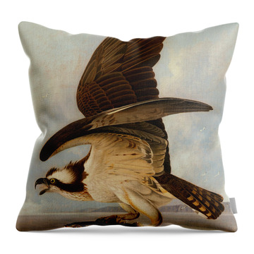 Osprey In Flight Throw Pillows