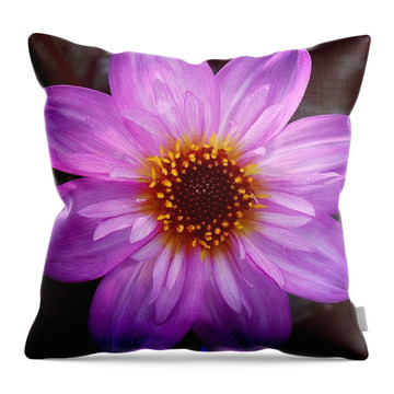 Purple Dahlia Throw Pillows
