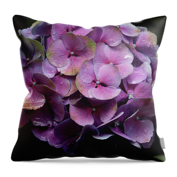 Purple Hydrangeas Photos Throw Pillows
