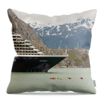 Glacier Bay National Park Throw Pillows