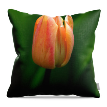 Single Flower Throw Pillows