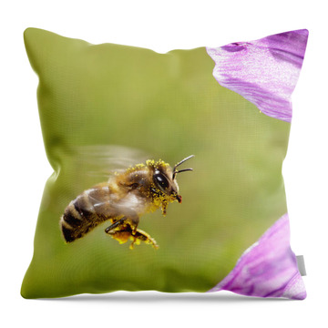 Bee In Flight Throw Pillows