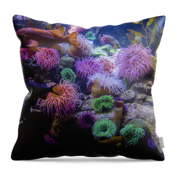 Under Water Scenery Throw Pillows