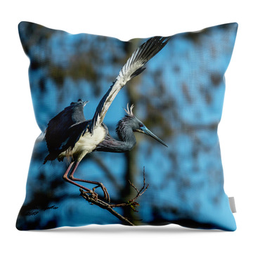 Tri Colored Heron Throw Pillows