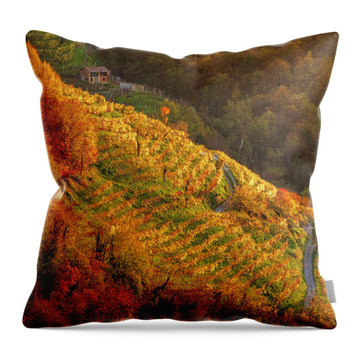 Prosecco Wine Route Throw Pillows