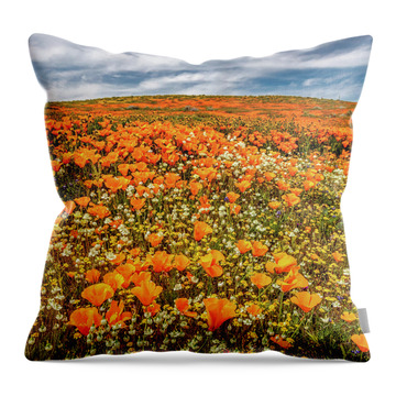 Antelope Valley California Poppy Reserve Throw Pillows