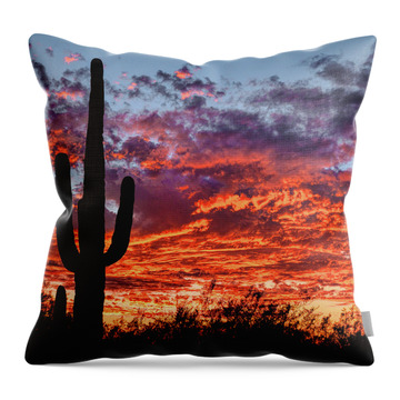 Southern Arizona Throw Pillows