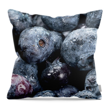 Blueberry Throw Pillows