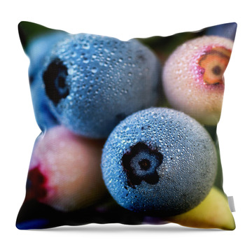 Cyanococcus Throw Pillows