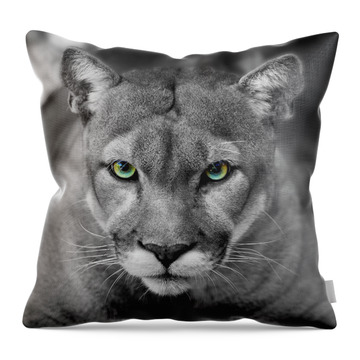 Florida Panthers Throw Pillows
