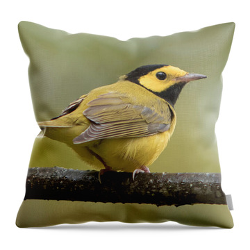 Wood Warbler Throw Pillows