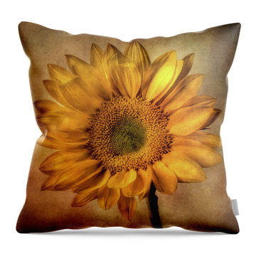 Designs Similar to Radiant Sunflower by Garry Gay