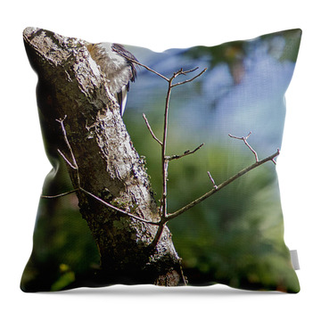 Woodie Woodpecker Throw Pillows