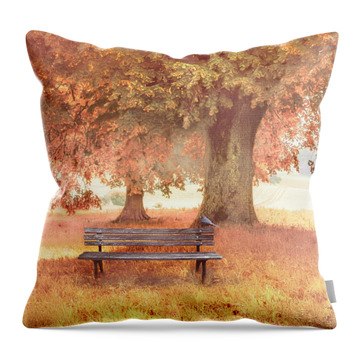 Vineyards In Early Fall Photos Throw Pillows