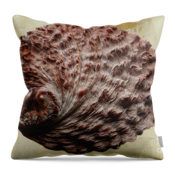 Abalone Throw Pillows