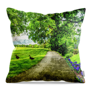 Water Color Landscape Digital Pathway House Throw Pillows
