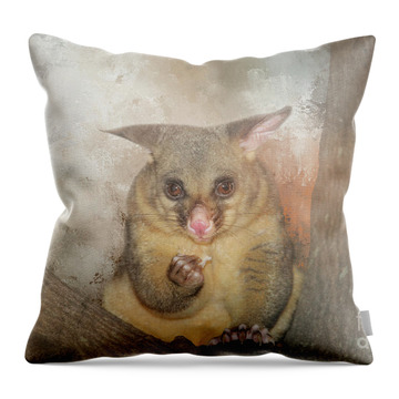 Brushtail Possum Throw Pillows