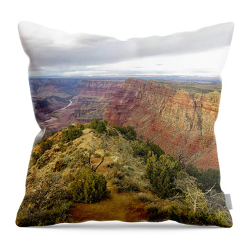Desertview Throw Pillows