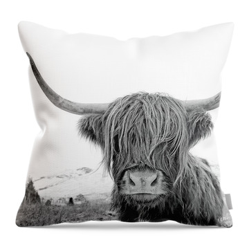 The Bull Throw Pillows