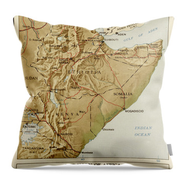 Horn Of Africa Throw Pillows