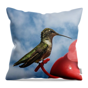 Hummingbird Feeder Throw Pillows