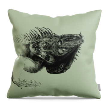 Mexican Lizard Throw Pillows