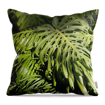 Swiss Cheese Plant Throw Pillows