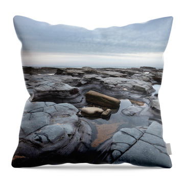 Tide Pool Images Throw Pillows