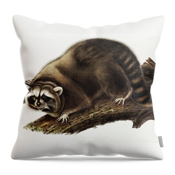 Unusual Raccoon Throw Pillows