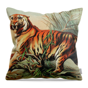 Chinese Tiger Throw Pillows
